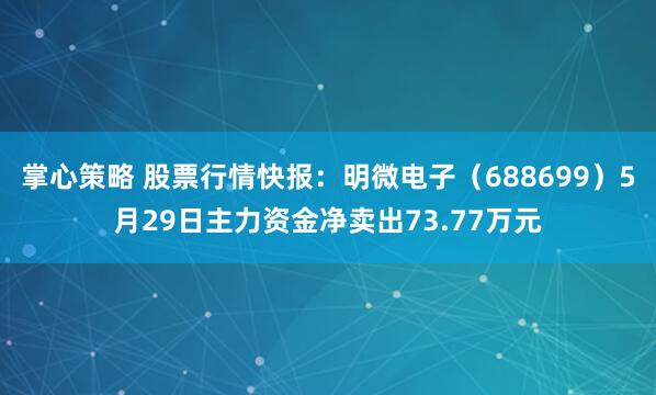 掌心策略 股票行情快报：明微电子（688699）5月29日主力资金净卖出73.77万元