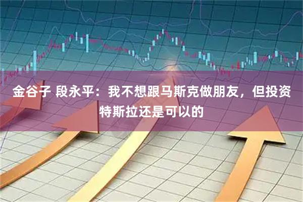 金谷子 段永平:我不想跟马斯克做朋友,但投资特斯拉还是可以的