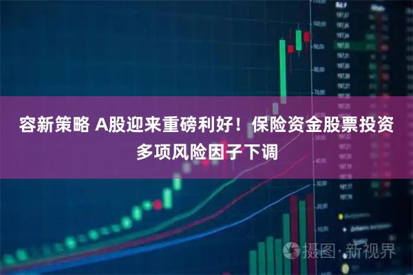 容新策略 A股迎来重磅利好！保险资金股票投资多项风险因子下调