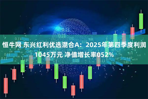 恒牛网 东兴红利优选混合A：2025年第四季度利润1045万元 净值增长率052%