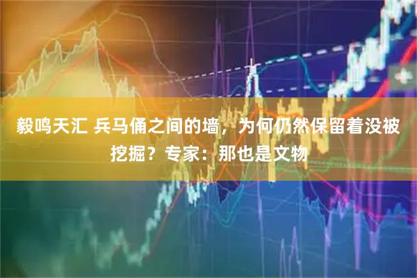 毅鸣天汇 兵马俑之间的墙，为何仍然保留着没被挖掘？专家：那也是文物
